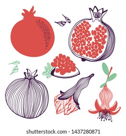 Sammlung von Granatapfelanteilen. Früchte, Blätter, Blumen und Stück. Handgezeichnete Vektorillustration im modernen, trendigen Flachstil für Web, Printplakate und Wallpaper