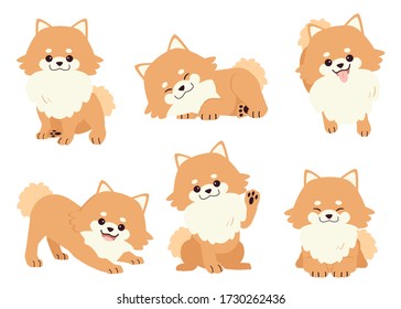 The collection of pomeranian dog in many action. Graphic resource about set of dogs pomeranian for graphic, content, etc. 