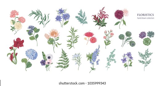 Collection of popular floristic flowers and decorative plants isolated on white background. Set of beautiful floral decorations. Botanical colorful hand drawn vector illustration in vintage style.