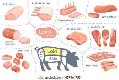 Collection Pork Meat Cut Loin Part Stock Vector Royalty Free 457364755