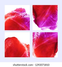 Collection of post template with abstract watercolor shapes. Set of colorful pink and red ink illustrated squares. Hand drawn vector background collection for your design. 