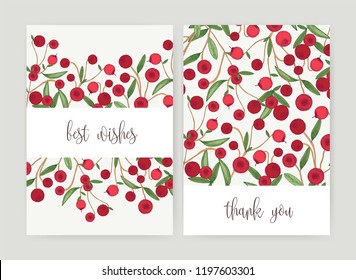 Collection of postcard templates with forest cranberries and leaves on white background and holiday wish. Bundle of cards decorated by ripe delicious boreal berries. Colorful vector illustration.