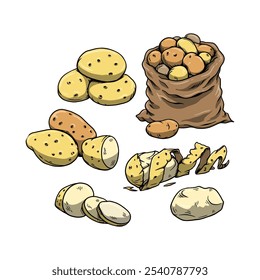 Collection of Potato vector illustrations isolated on white background