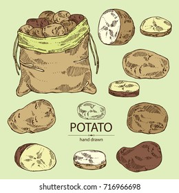 Collection of potatoes and bag with potatoes. Vector hand drawn illustration.