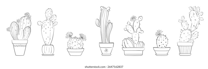 Coleção de cactos em vaso. Esboço em linhas, desenho à mão livre. Ilustração vetorial, cactos florescentes em estilo gráfico.	