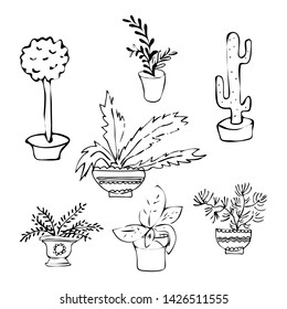 Collection of potted flowers for interior decoration. Different types of indoor plants. Line style vector design. 
