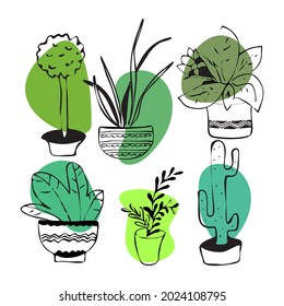 Collection of potted flowers for interior decoration. Different types of indoor plants. Line style hand drawn vector design. 