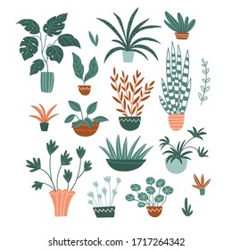 Collection of potted house plants isolated on the white background. Flat hand-drawn botanical illustration.  Vector potted flowers.