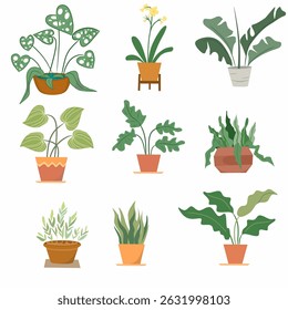 Collection of potted houseplants in flat style. Includes various indoor plants in decorative pots. Great for home decor, gardening themes, and botanical designs.