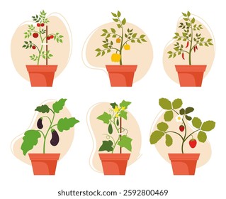 Collection of potted plants growing vegetables and fruits. Tomatoes, chilli peppers, eggplants, cucumbers and strawberries in terracotta pots. Garden set concept. Flat isolated vector illustration.