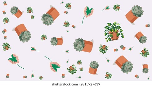 A collection of potted succulents in different shapes and colors arranged in a flat lay style perfect for gardening and plant care themes
