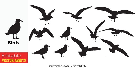 Collection of Precisely Rendered Black Silhouette Seagulls in Dynamic Flying and Standing Poses Isolated Vector Assets Set

This professional collection features ten distinct black silhouette illustrations of seagulls, meticulously captured in a variety of dynamic and static poses. Isolated on a transparent background, the set showcases the elegant anatomy and behavior of these seabirds—from powerful mid-flight glides and wide wingspans to precise landing preparations and alert standing postures. Each silhouette is rendered with sharp, clean lines, highlighting the seagull’s iconic pointed beak, streamlined body, and delicate leg structures. These high-quality editable vector assets are a versatile resource for graphic designers and artists, perfect for coastal-themed branding, nautical posters, nature illustrations, and environmental designs. Whether representing the freedom of flight or the serenity of the seaside, this comprehensive set provides a 360-degree perspective of one of nature's most recognizable coastal birds.

Key Features include
Dynamic Action and Stance Includes seagulls in full flight, gliding, descending for landing, and standing upright, offering maximum variety.

Minimalist High-Contrast Style Bold black silhouettes provide sharp outlines that are easy to use in logos, icons, and print media.

Nautical and Coastal Symbolism Ideal for projects related to the ocean, sea life, travel, and environmental conservation.

Professional Vector Quality Fully scalable and editable EPS file, allowing for easy adjustment of size and orientation without loss of clarity.