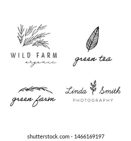 Collection of Premade Hand Drawn Logo with Wild Flower and Leaves. Logo for spa and beauty salon, boutique, organic shop, wedding, floral designer, interior, photography, cosmetic. Floral element