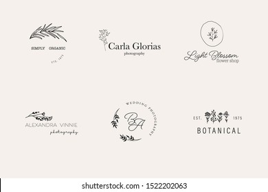 Floral Logo Templates Vector Minimalistic Logos Stock Vector (Royalty ...