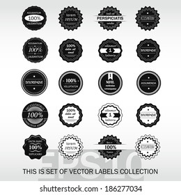 Collection of Premium Quality and Guarantee Labels with retro vintage styled design. Set of vector elements