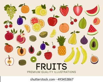 Collection Of Premium Quality Vector Illustrations Of Fruits