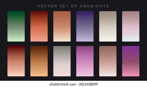 collection premium vintage gradients. vector set
