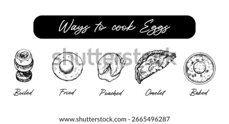 A collection of prepared egg methods - sketch outline drawings. Ways to cook eggs infographic. Boiled, fried, baked, poached egg, and omelet. Hand drawn vector line art