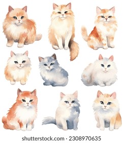 Collection of pretty delicate watercolour cats each cat is a different type 
