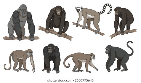 Coleção de espécies de primatas ilustrada em ilustrações realistas em estilo pixel