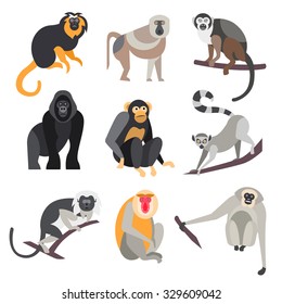 Collection Of Primates In Flat Style, Vector Illustration