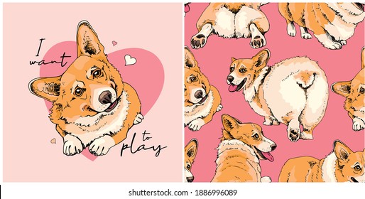 Collection of print and seamless pattern. Portrait of a cute Dogs. Funny Welsh Corgi in a different poses. Humor textile composition, hand drawn style print. Vector illustration.