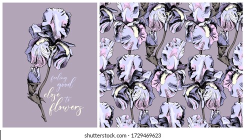 Collection of print and seamless texture. Iris flowers and buds. Textile composition, hand drawn style print. Vector illustration.