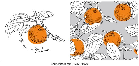 Collection of print and seamless texture. Orange Tangerine with leaves. Textile composition, hand drawn style print. Vector illustration.