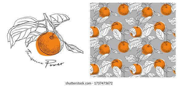 Collection of print and seamless texture. Orange Tangerine with leaves. Textile composition, hand drawn style print. Vector illustration.