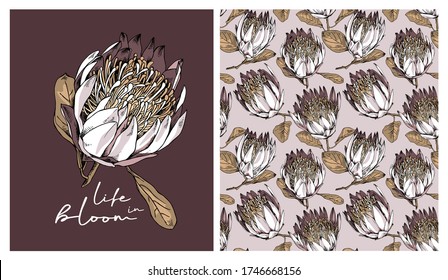 Collection of print and seamless texture. Protea (Sugarbushes) flowers and leaves. Textile composition, hand drawn style print. Vector illustration.