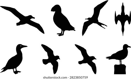A collection of professional black silhouettes featuring various species of marine birds and seabirds in flying and perched poses. Perfect for wildlife conservation materials, coastal branding, educational biology resources, and maritime graphic designs.