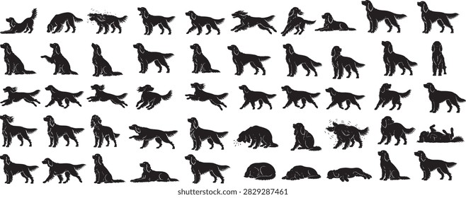 Collection of professional dog breed silhouette vector illustrations featuring various breeds in multiple natural poses and body positions. Clean black silhouettes with sharp contours and detailed shapes, suitable for logos, icons, pet branding, posters, apparel, signs, stickers, packaging, advertising, print and digital design. Editable EPS vector artwork with scalable, high-quality graphics for creative and commercial projects.