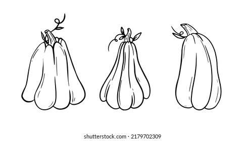 Colección Pumkins. Conjunto de verduras. Ilustración vectorial de contorno de garabato.