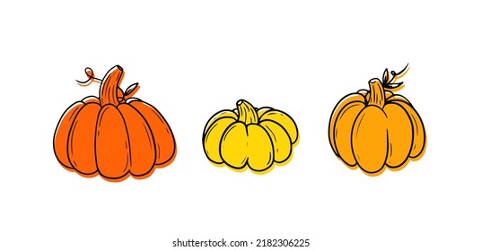 Collection Pumkins. Vegetable set. Doodle outline illustration. Vector illustration