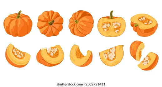 Collection of pumpkin slices. Flat vector hand drawn pumpkin from different sides