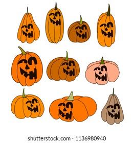 Collection of pumpkins of different  shapes and sizes. Vector EPS 10.