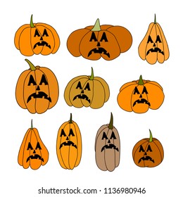 Collection of pumpkins of different  shapes and sizes. Vector EPS 10.