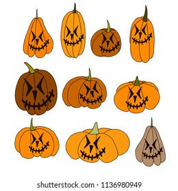 Collection of pumpkins of different  shapes and sizes. Vector EPS 10.