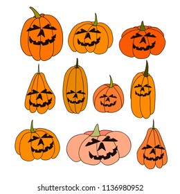 Collection of pumpkins of different  shapes and sizes. Vector EPS 10.