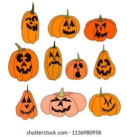 Collection of pumpkins of different  shapes and sizes. Vector EPS 10.