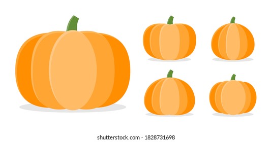 Collection of Pumpkins in different shapes, Vector and Illustration.