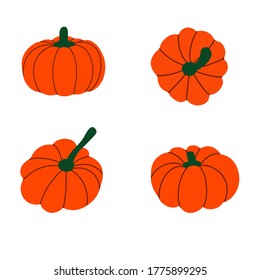 Colección de calabazas aisladas en un fondo blanco .Calabaza naranja, amarilla, roja para Halloween y diseño del día de acción de gracias. Hortalizas orgánicas de otoño. Ilustración plana del vector