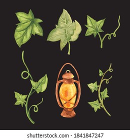 collection Pumpkins leaves and lantern watercolor illustration individual object clipart.Vector Illustration