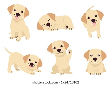 The collection of puppy labrador retriever in many action. Graphic resource about labrador retriever for graphic, content, etc. 