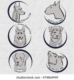 Collection of purebred dog portraits with breed names. Logo elements for your design. 