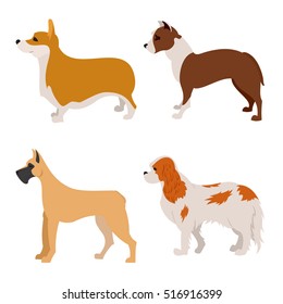 Collection of purebred dogs flat design