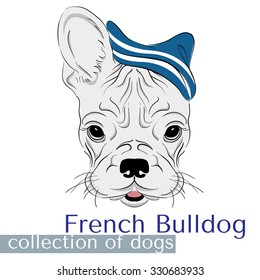 Collection of purebred dogs . French bulldog wearing a hat .