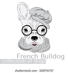 Collection of purebred dogs in the vector. French Bulldog hipster in glasses and a cap .
