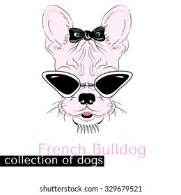 Collection of purebred dogs in vector. Hand drawing . French bulldog in sunglasses .