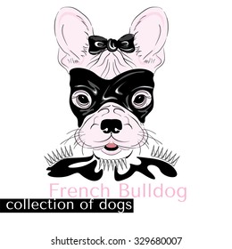 Collection of purebred dogs in vector. Hand drawing . French Bulldog in latex . BDSM .